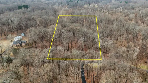 a view of a dry yard