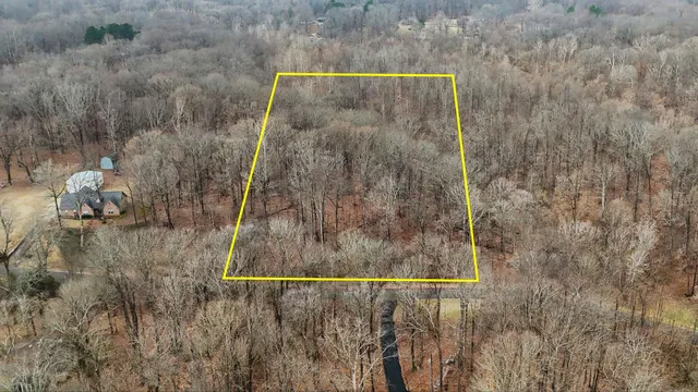 a view of a dry yard