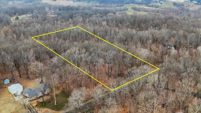 a view of a dry back yard