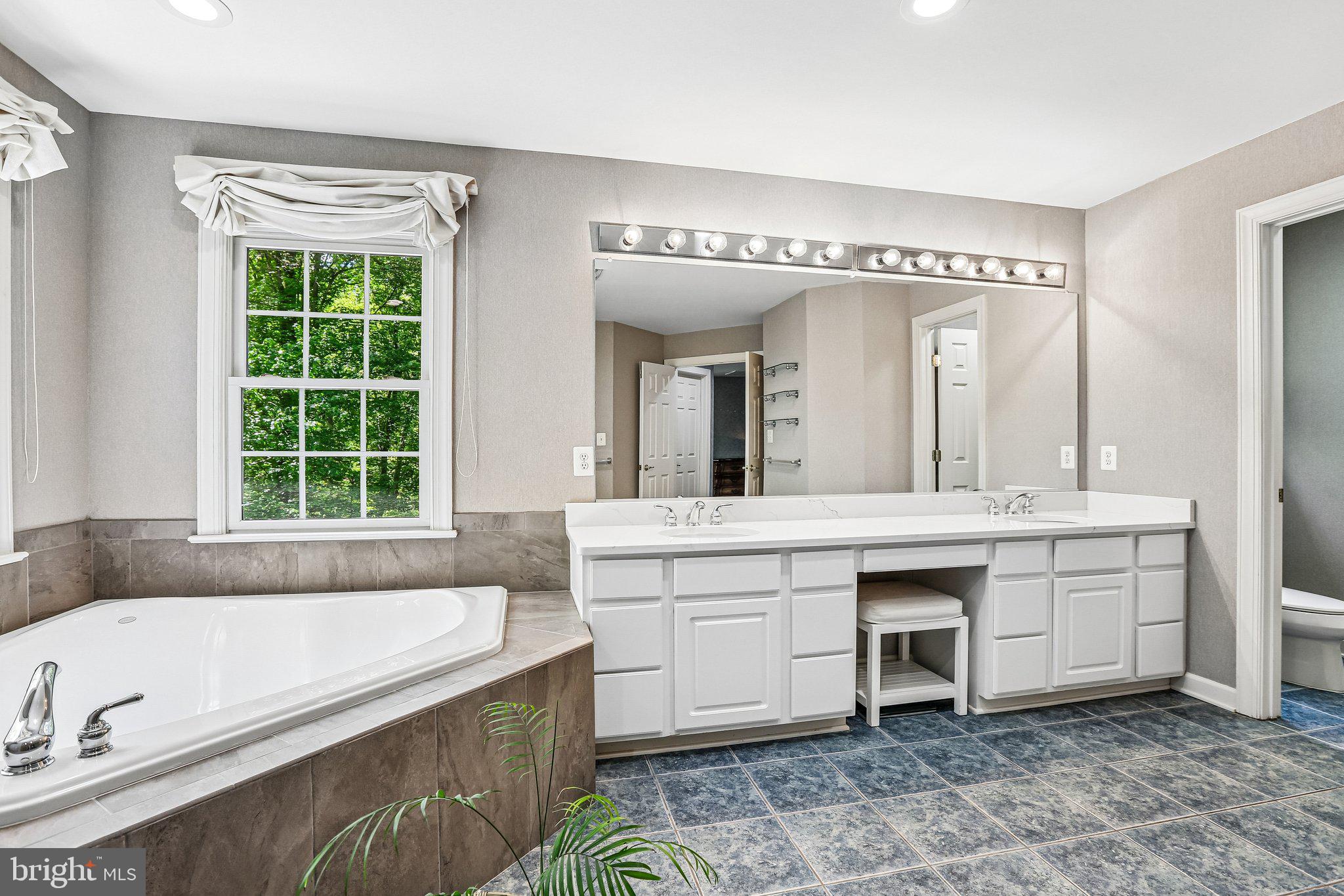 16920 Old Sawmill Road Woodbine, MD 21797 - Photo 43 of 66 Master Bath