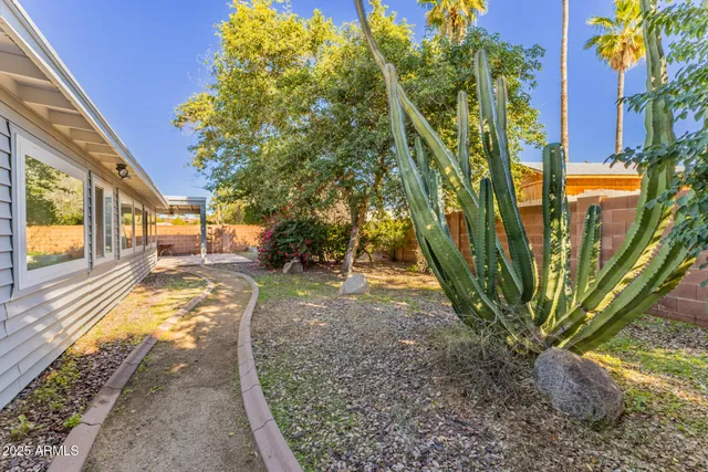 a view of a yard with plants and large trees