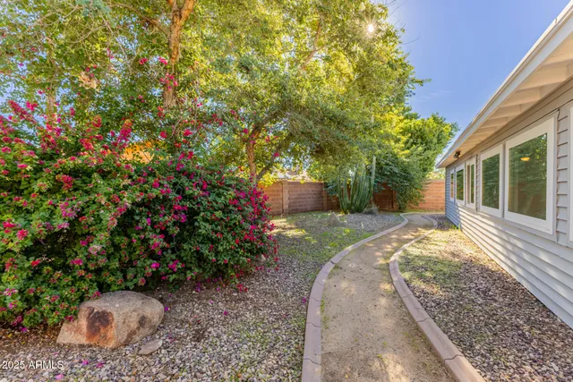 a view of a backyard with potted plants and large tree