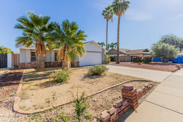 a view of a backyard with a palm tree