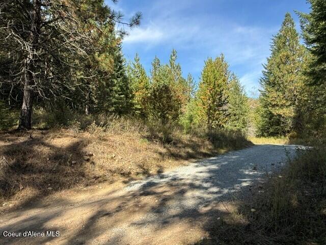 788 Gold Cup Mountain Road Laclede, ID 83841 - Photo 2 of 14 Building Site 2