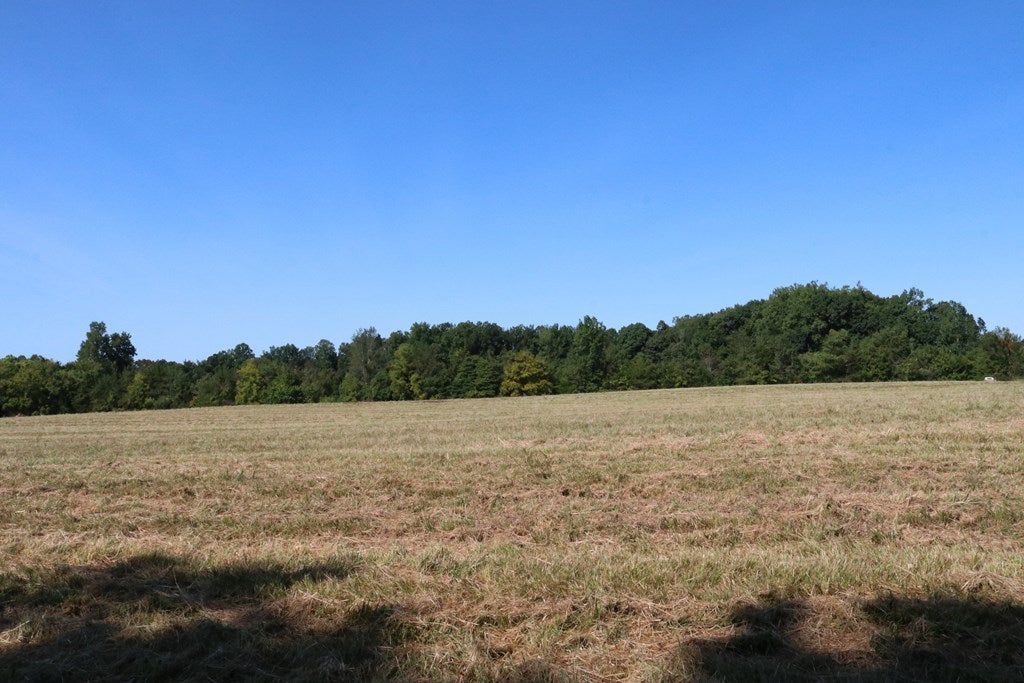 268 Lindsay Road Pamplin, VA 23958 - Photo 17 of 19 Gallery Image 17