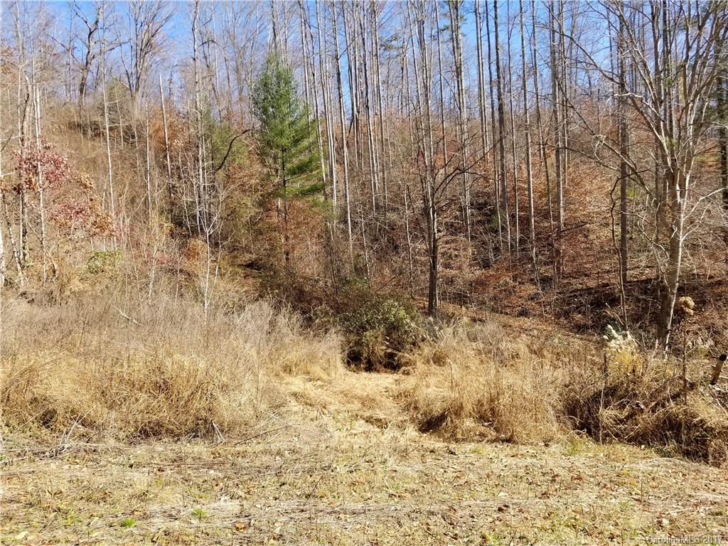 999 Jordan Branch Road Mars Hill, NC 28754 - Photo 11 of 23 Gallery Image 11