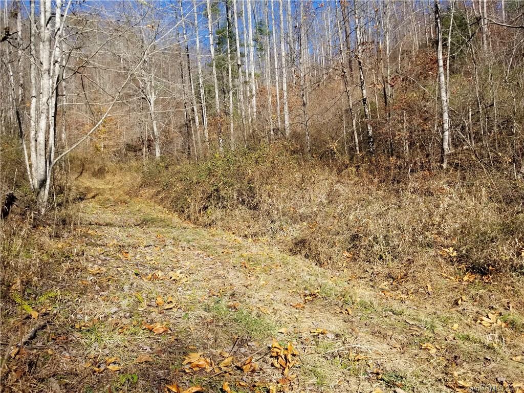 999 Jordan Branch Road Mars Hill, NC 28754 - Photo 12 of 23 Gallery Image 12