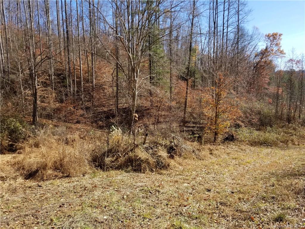 999 Jordan Branch Road Mars Hill, NC 28754 - Photo 13 of 23 Gallery Image 13