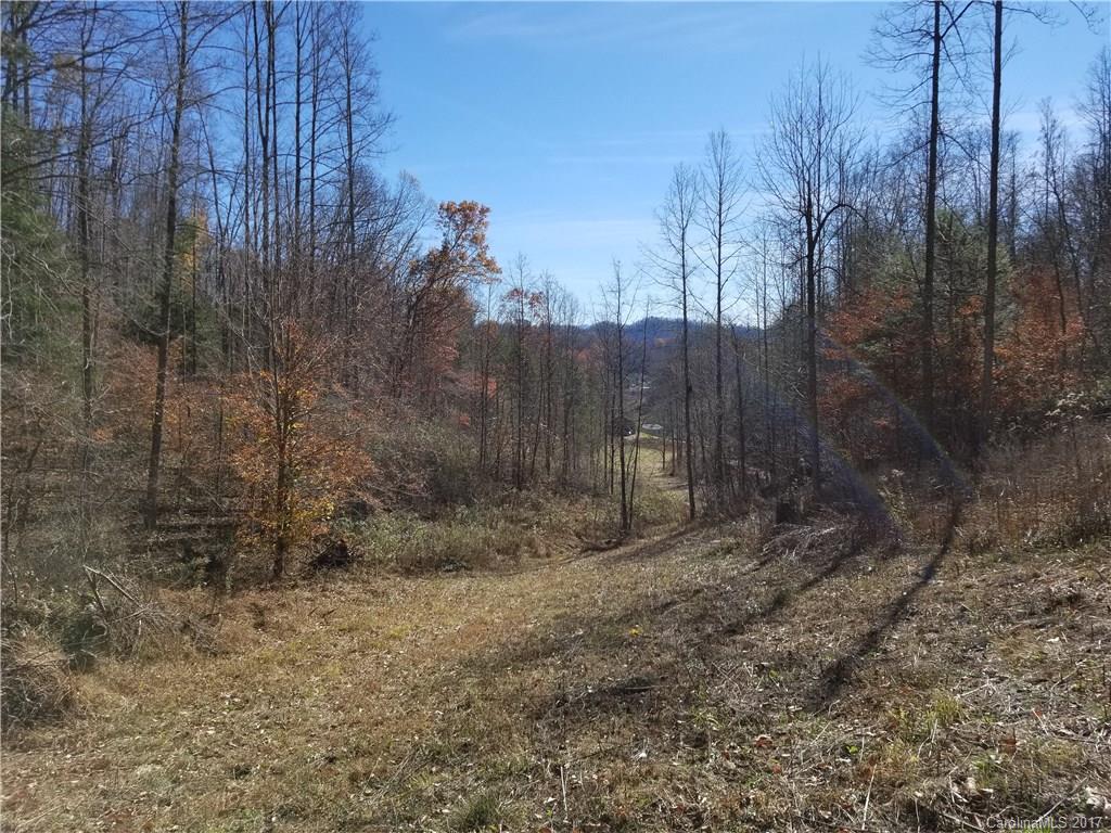 999 Jordan Branch Road Mars Hill, NC 28754 - Photo 14 of 23 Gallery Image 14
