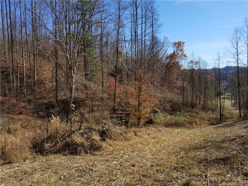 999 Jordan Branch Road Mars Hill, NC 28754 - Photo 15 of 23 Gallery Image 15