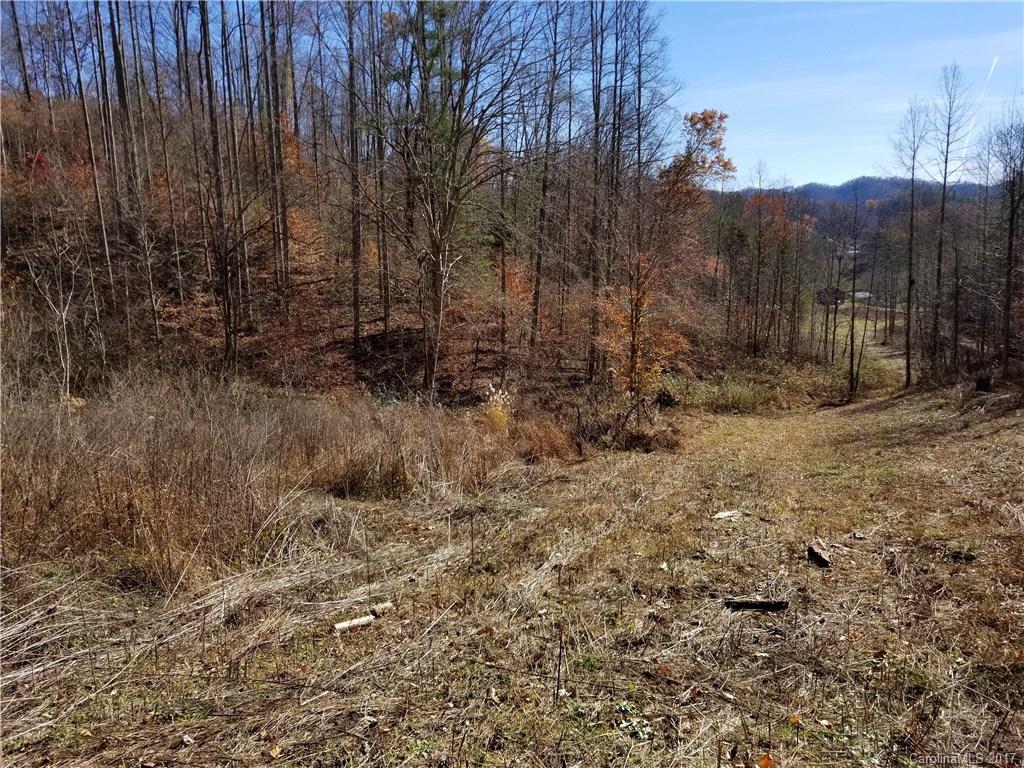 999 Jordan Branch Road Mars Hill, NC 28754 - Photo 16 of 23 Gallery Image 16