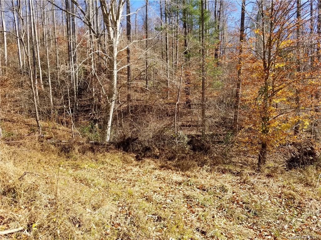 999 Jordan Branch Road Mars Hill, NC 28754 - Photo 17 of 23 Gallery Image 17