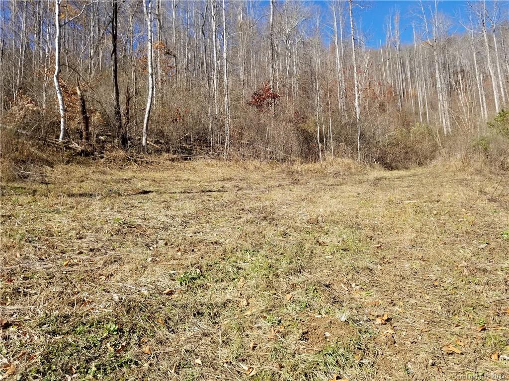 999 Jordan Branch Road Mars Hill, NC 28754 - Photo 18 of 23 Gallery Image 18