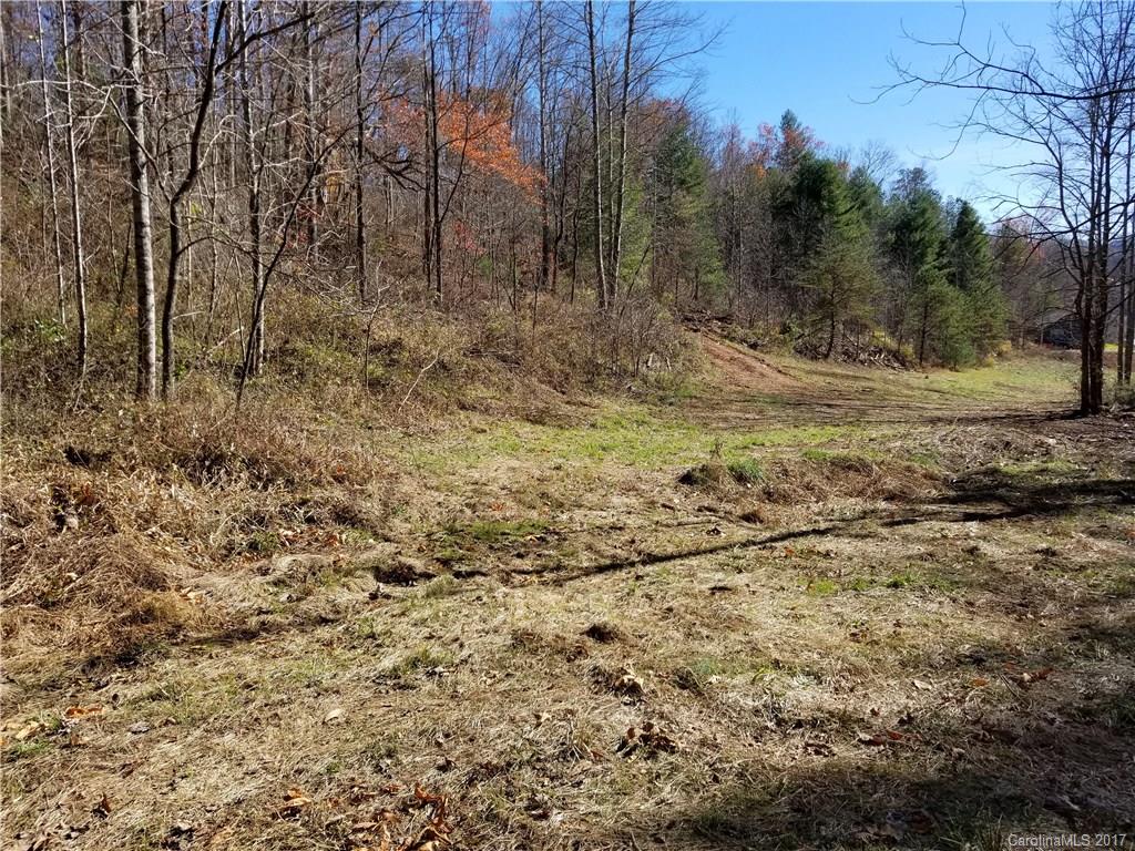 999 Jordan Branch Road Mars Hill, NC 28754 - Photo 19 of 23 Gallery Image 19