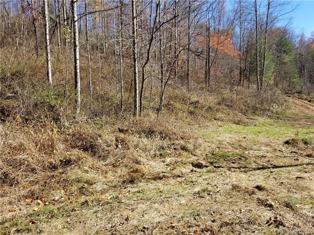 999 Jordan Branch Road Mars Hill, NC 28754 - Photo 20 of 23 Gallery Image 20