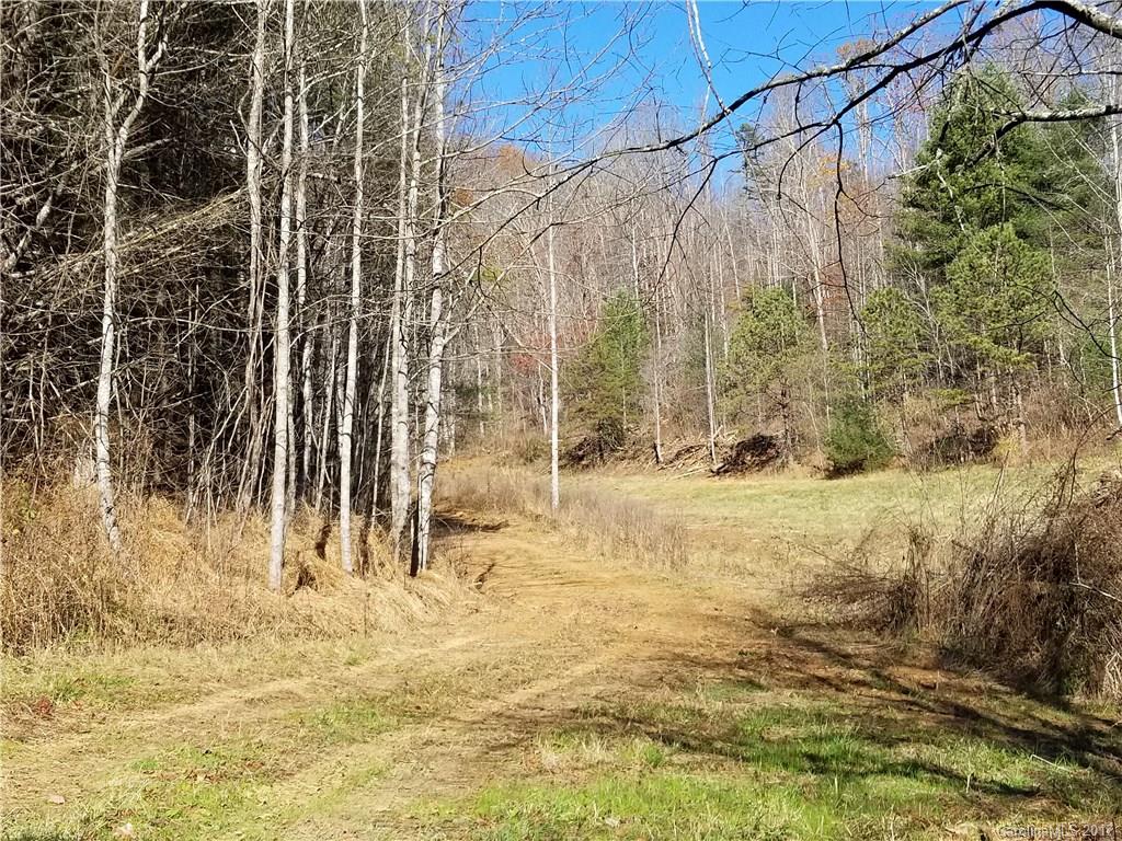 999 Jordan Branch Road Mars Hill, NC 28754 - Photo 3 of 23 Gallery Image 3