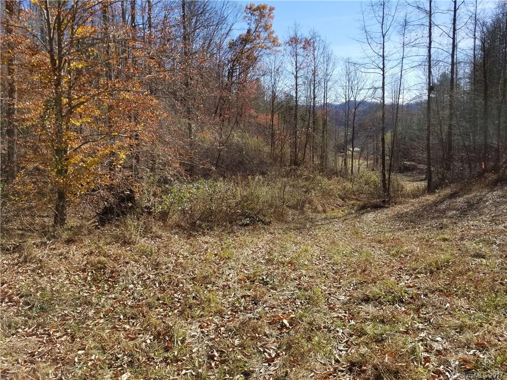 999 Jordan Branch Road Mars Hill, NC 28754 - Photo 21 of 23 Gallery Image 21