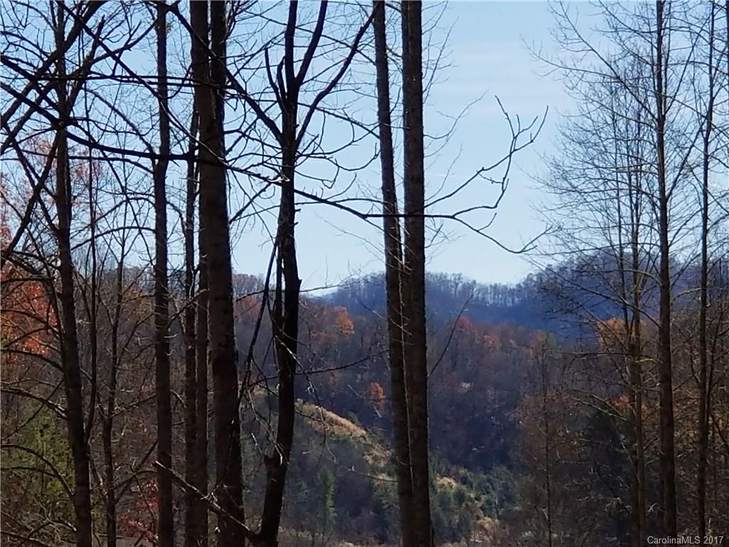 999 Jordan Branch Road Mars Hill, NC 28754 - Photo 22 of 23 Gallery Image 22