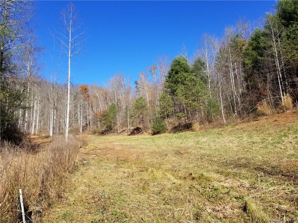 999 Jordan Branch Road Mars Hill, NC 28754 - Photo 4 of 23 Gallery Image 4
