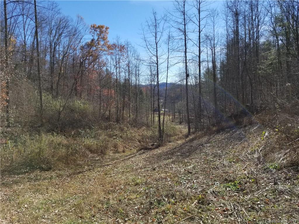 999 Jordan Branch Road Mars Hill, NC 28754 - Photo 5 of 23 Gallery Image 5