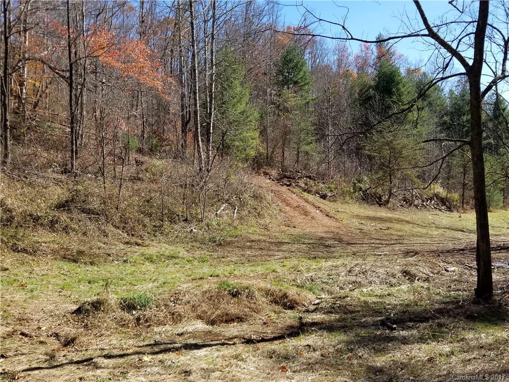 999 Jordan Branch Road Mars Hill, NC 28754 - Photo 7 of 23 Gallery Image 7