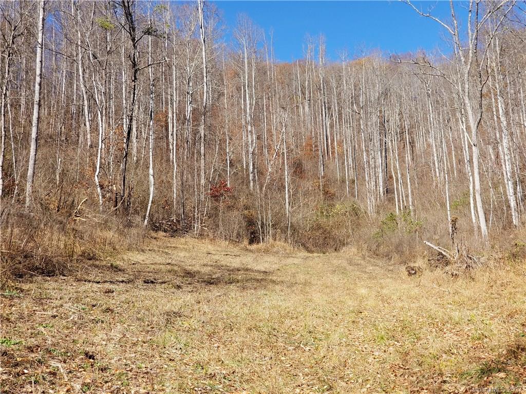 999 Jordan Branch Road Mars Hill, NC 28754 - Photo 10 of 23 Gallery Image 10