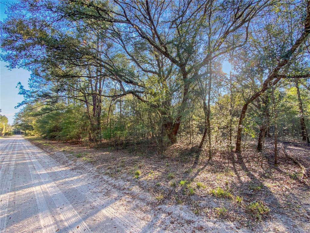 Southwest Buffalo Court Fort White, FL 32038 - Photo 5 of 11 a backyard of a house with lots of green space