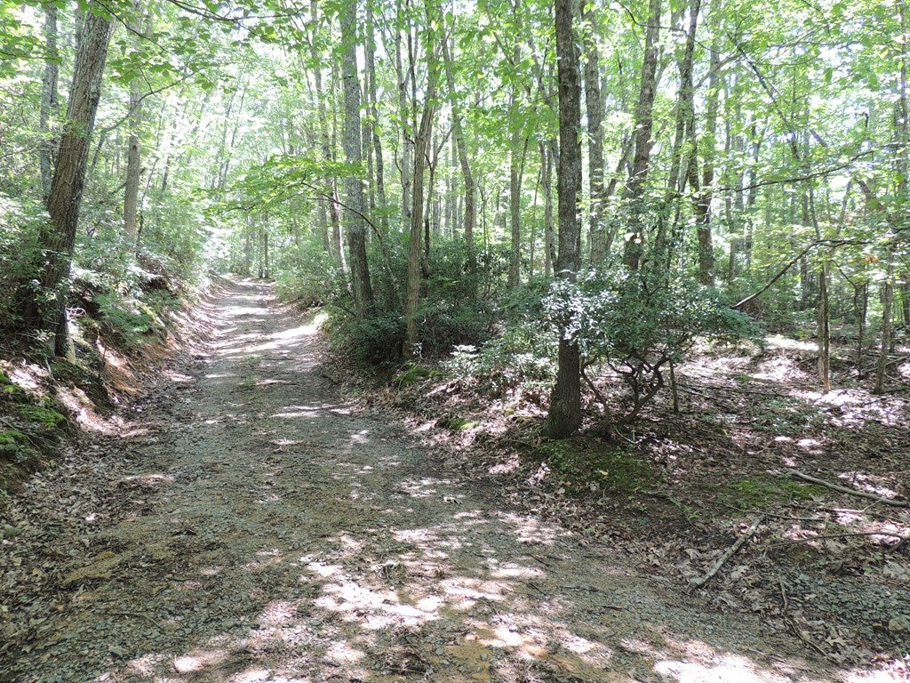 Tbd Peach Bottom Road Independence, VA 24348 - Photo 4 of 15 Gallery Image 4