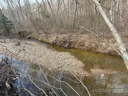 a view of a yard with trees