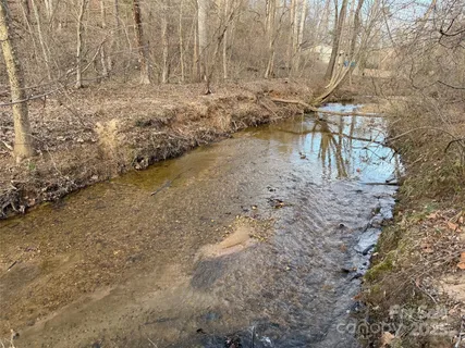 a close up of a plant in a yard