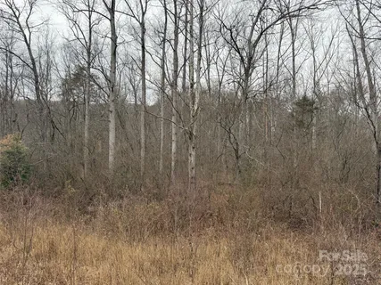a view of backyard with green space