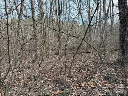 a view of a yard with wooden fence