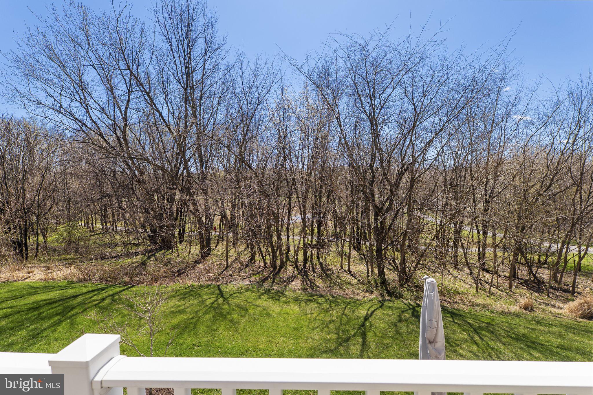 2419 Mill Race Road Frederick, MD 21701 - Photo 40 of 94 view to preserve