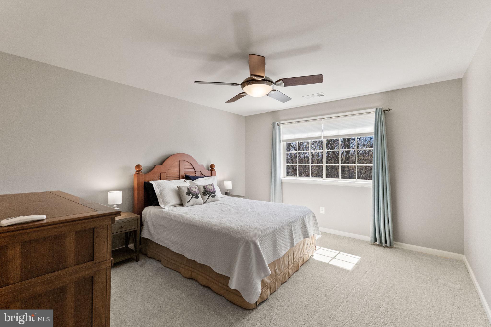 2419 Mill Race Road Frederick, MD 21701 - Photo 58 of 94 BR 2