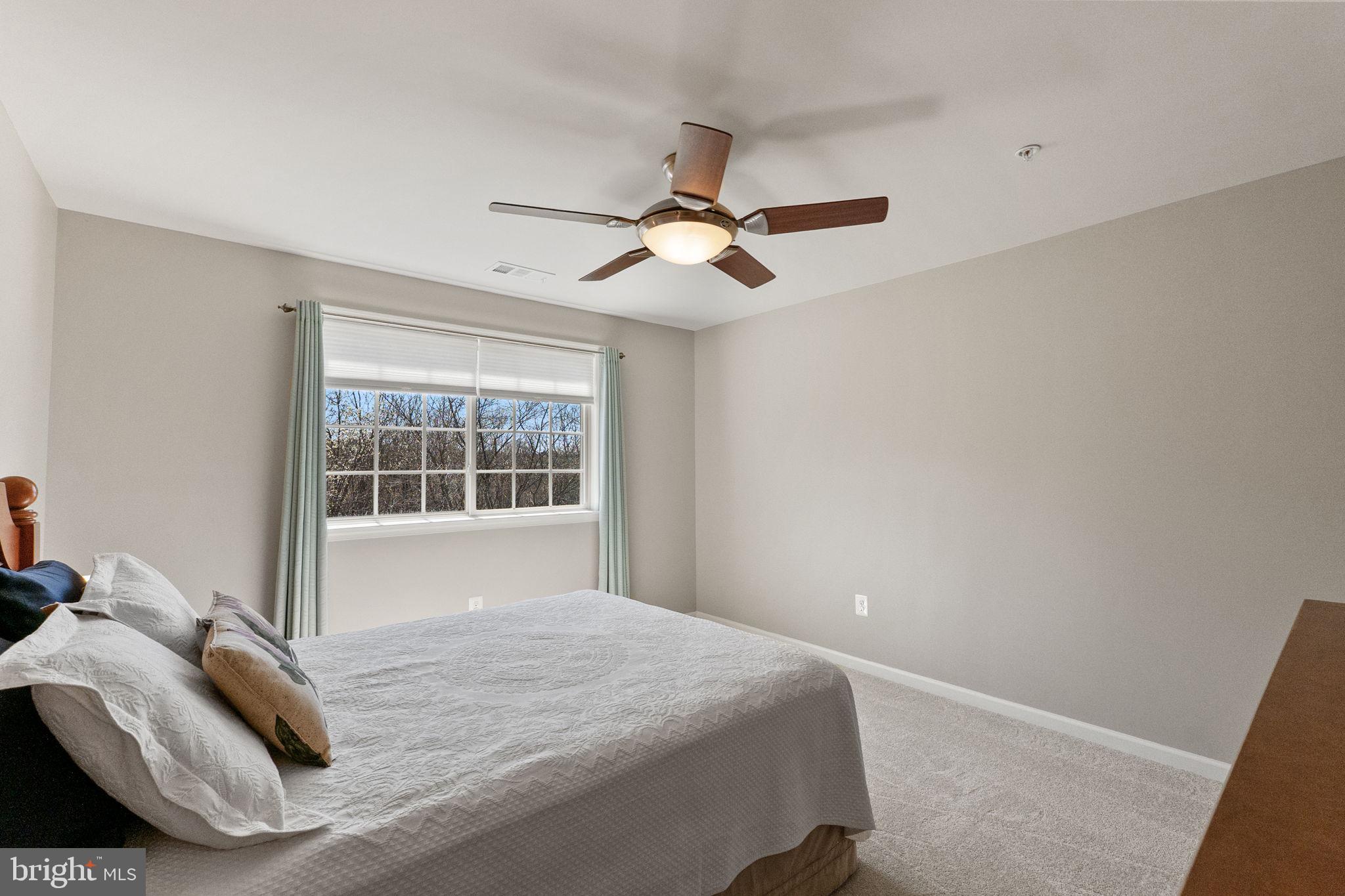 2419 Mill Race Road Frederick, MD 21701 - Photo 59 of 94