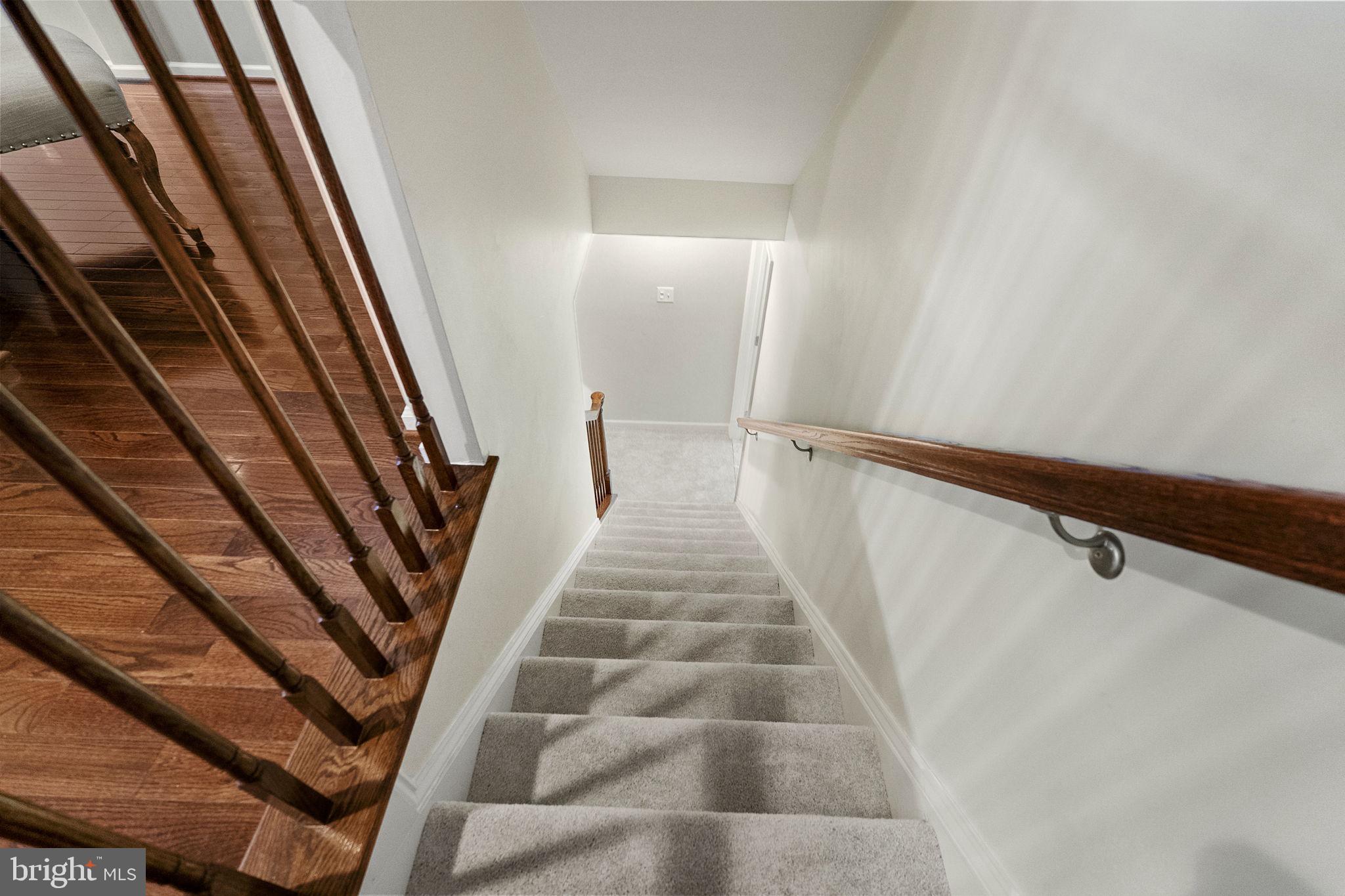 2419 Mill Race Road Frederick, MD 21701 - Photo 66 of 94 let's check out the lower level