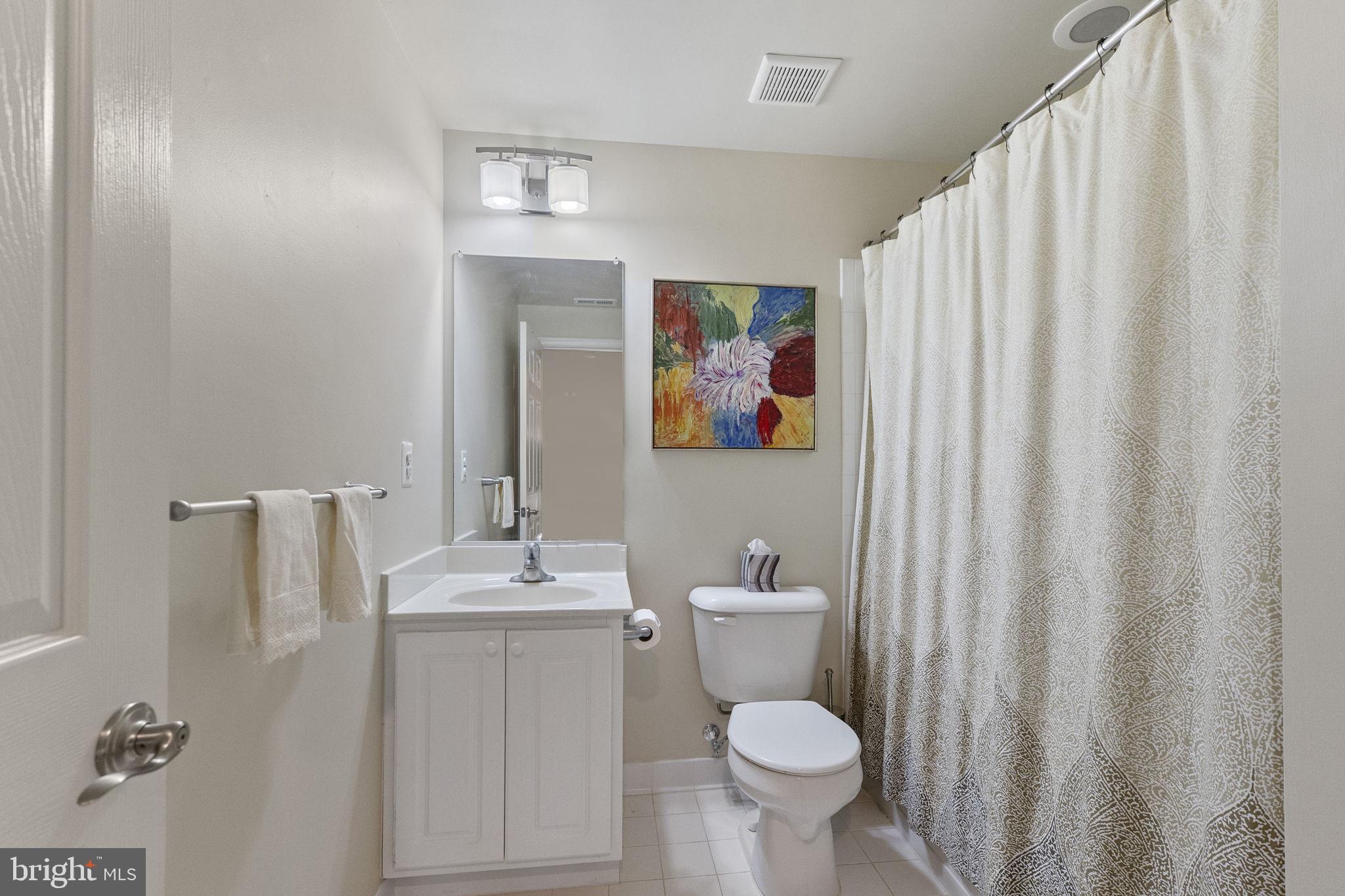 2419 Mill Race Road Frederick, MD 21701 - Photo 75 of 94 3rd full bath lower level