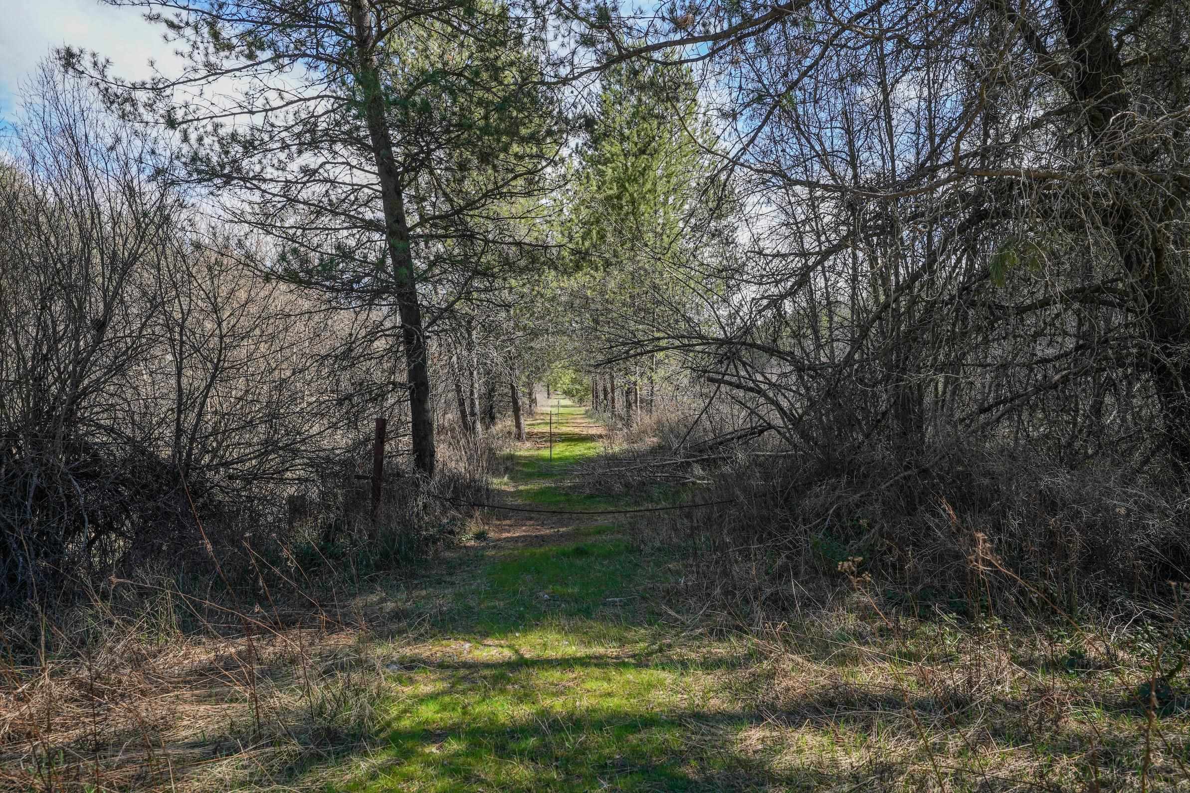 101 Pines Road Newport, WA 99156 - Photo 15 of 27 Gallery Image 15