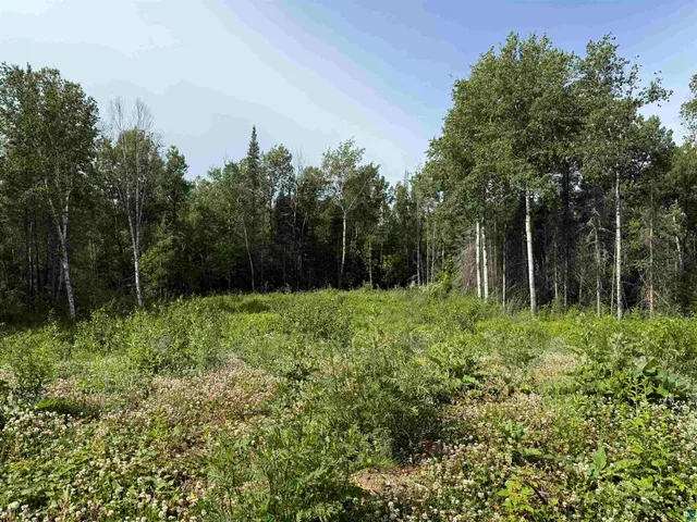 $89,000 | 2101 Sibley Court, Ely, MN 55731