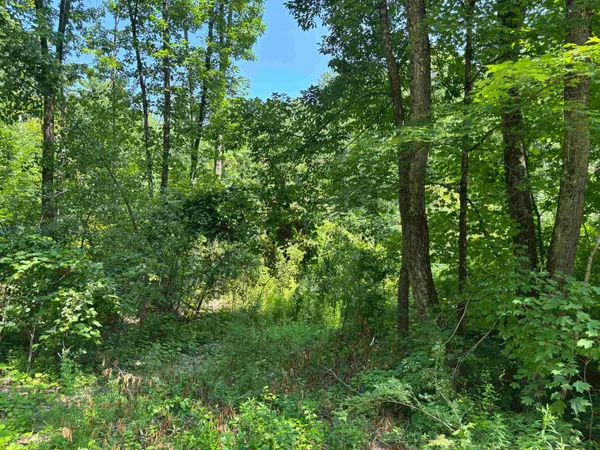$242,000 | Plains Road, Salisbury, VT 05769