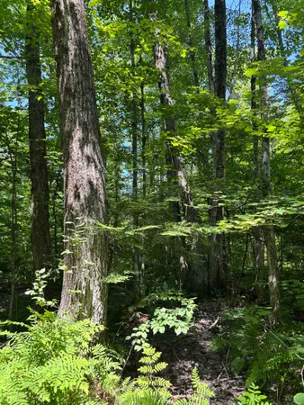 $242,000 | Plains Road, Salisbury, VT 05769