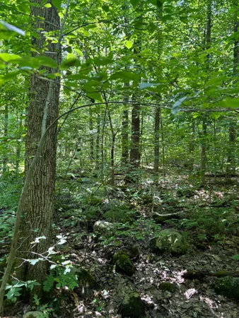 $242,000 | Plains Road, Salisbury, VT 05769