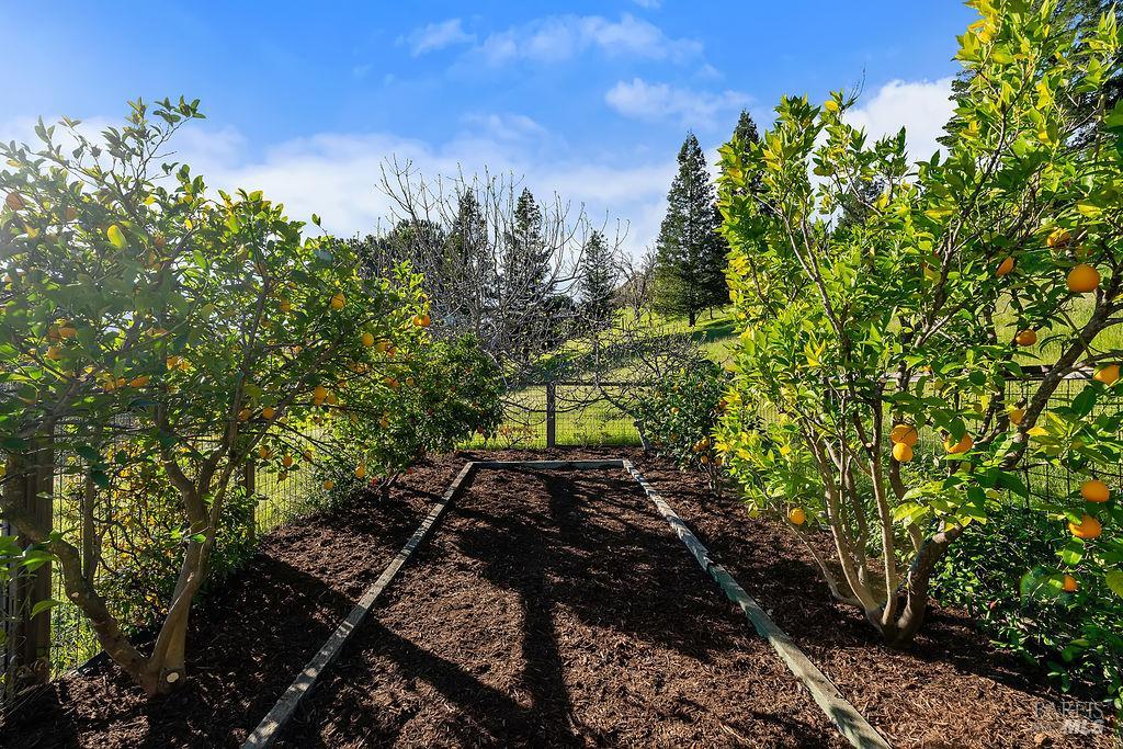 23121 Vineyard Road Geyserville, CA 95441 - Photo 50 of 56