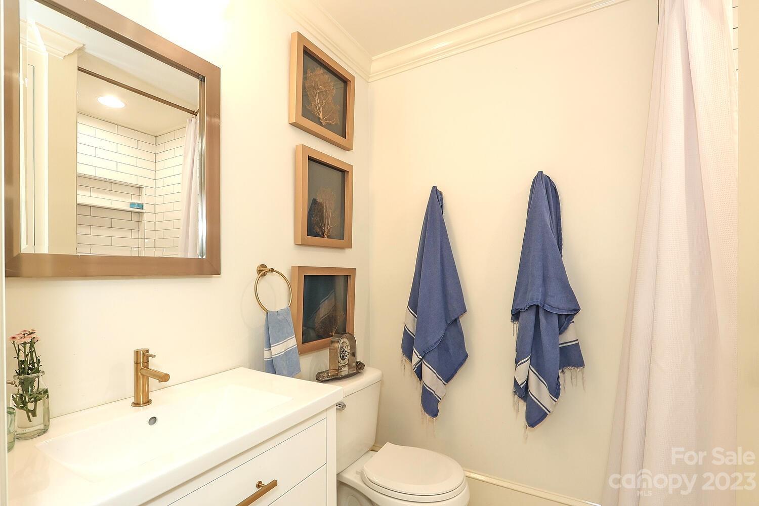 5529 Seacroft Road Charlotte, NC 28210 - Photo 9 of 14 a bathroom with a toilet sink and mirror