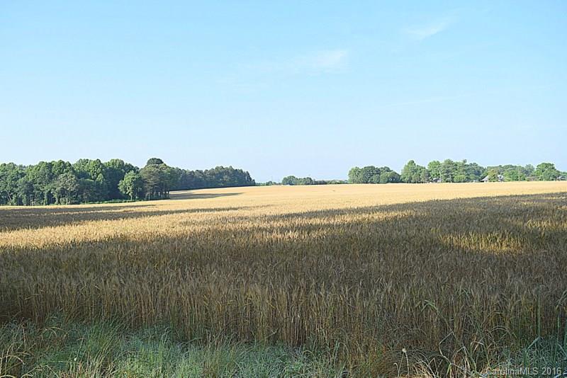 Lot 3 Cat Square Road Vale, NC 28168 - Photo 3 of 7