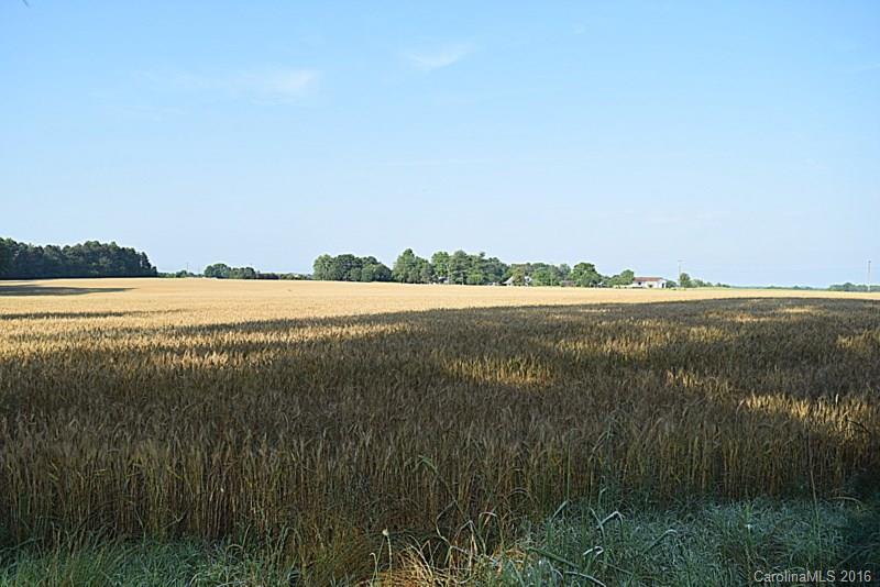 Lot 3 Cat Square Road Vale, NC 28168 - Photo 4 of 7