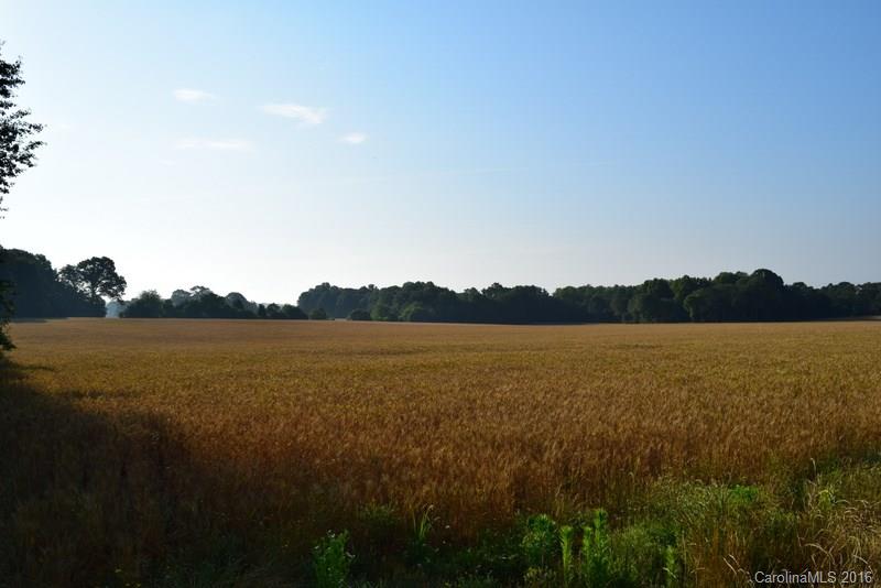 Lot 3 Cat Square Road Vale, NC 28168 - Photo 6 of 7