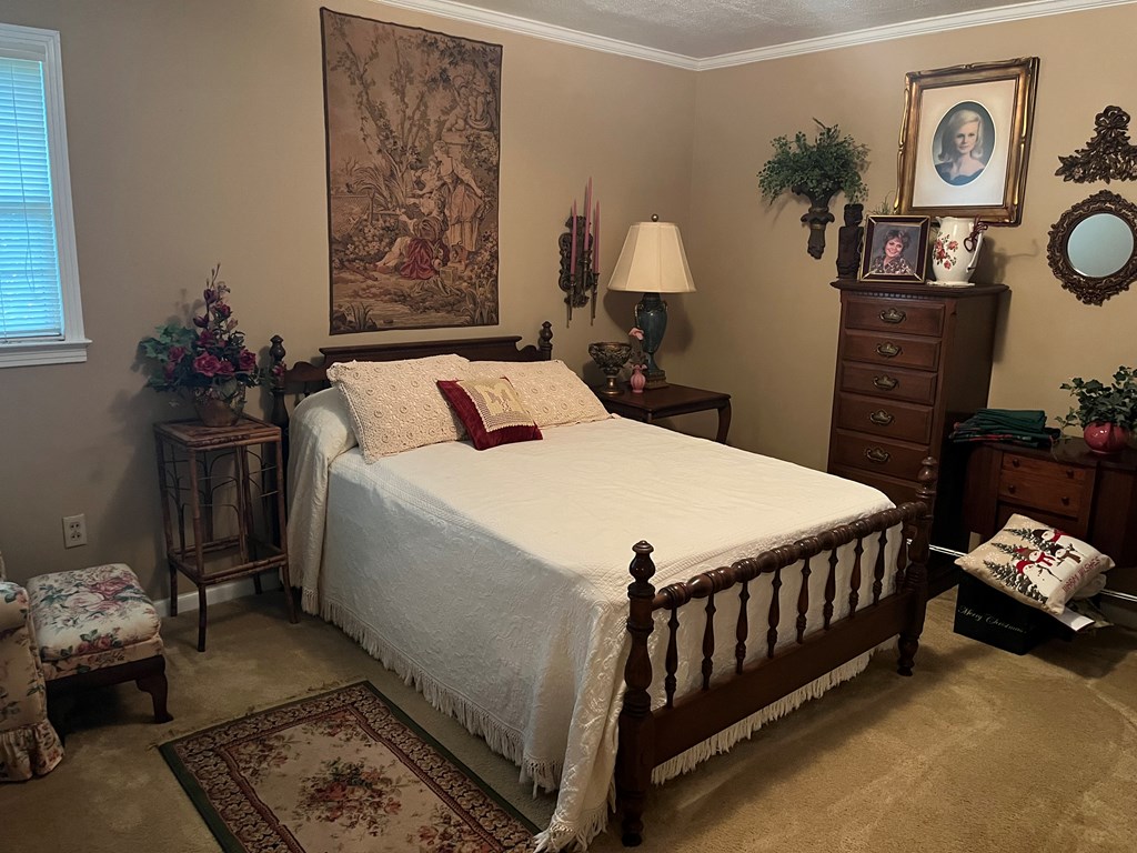 1638 Highway 87 Samson, AL 36477 - Photo 7 of 13