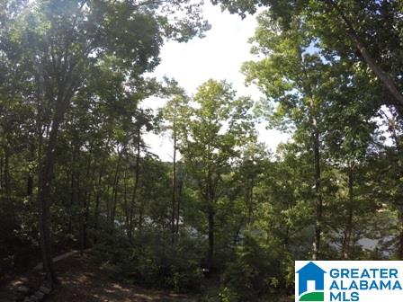171 Sunset Boulevard Oneonta, AL 35121 - Photo 45 of 45