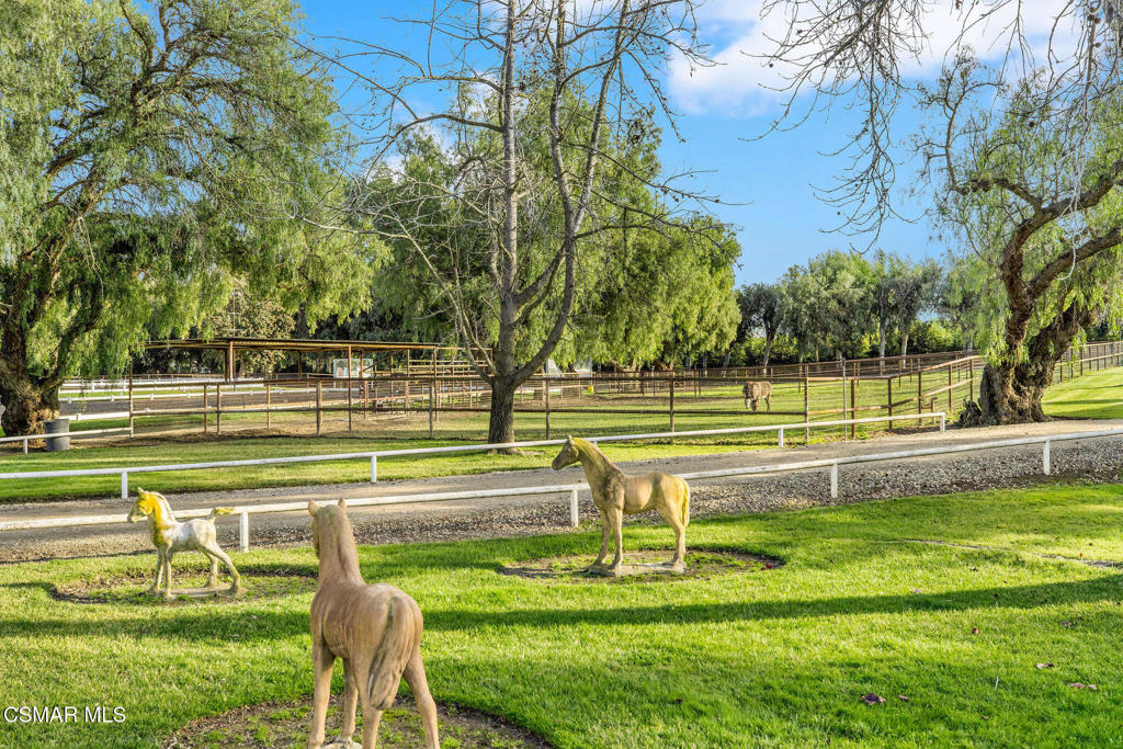5501 Balcom Canyon Road Somis, CA 93066 - Photo 24 of 85 Gallery Image 24